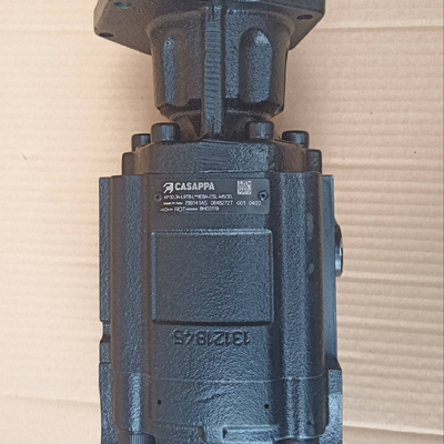 Υψηλή εγγύηση Dieci BHD3119 Υδραυλική αντλία Casappa 799141AS